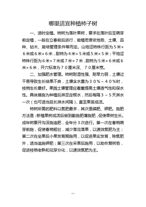 哪里适宜种植柿子树