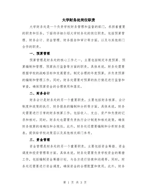 大学财务处岗位职责
