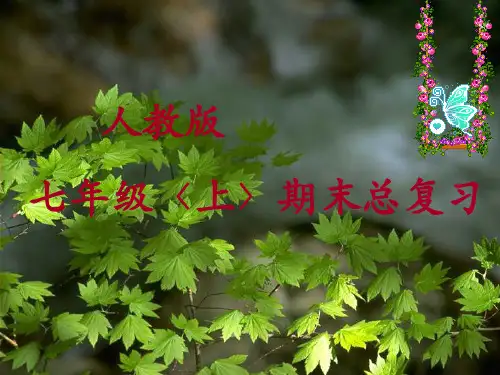 七年级上册生物总复习课件