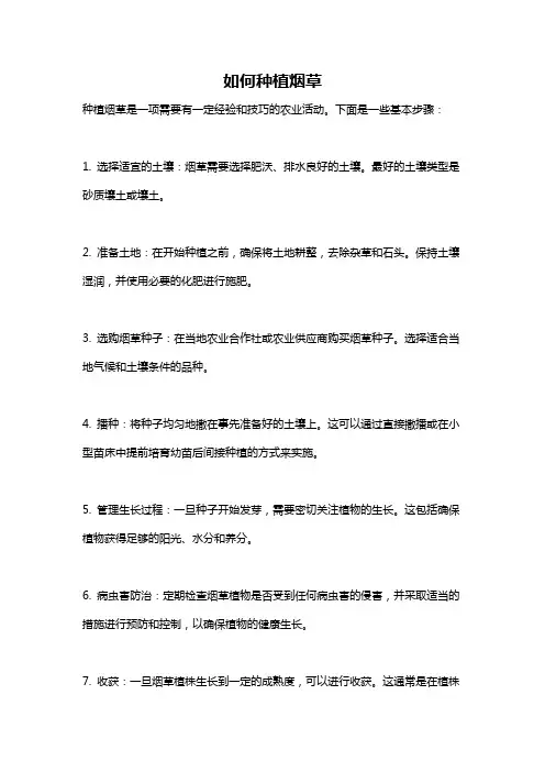 如何种植烟草