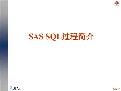 17. SAS SQL语言