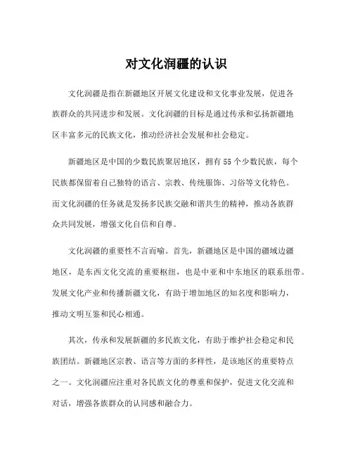 对文化润疆的认识