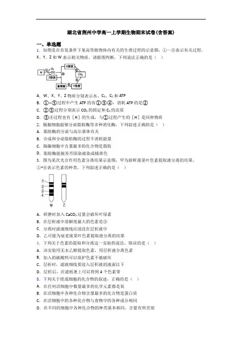 湖北省荆州中学高一上学期生物期末试卷(含答案)