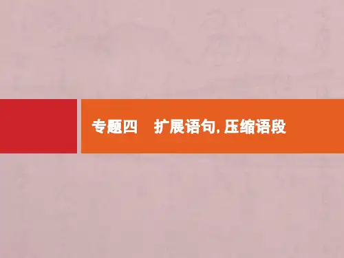 (课标专用)2020高考语文二轮复习第1部分专题4扩展语句压缩语段课件