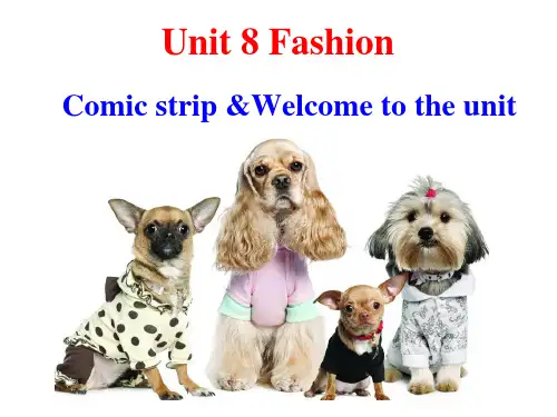 牛津译林版七年级英语上册Unit 8 welcome课件