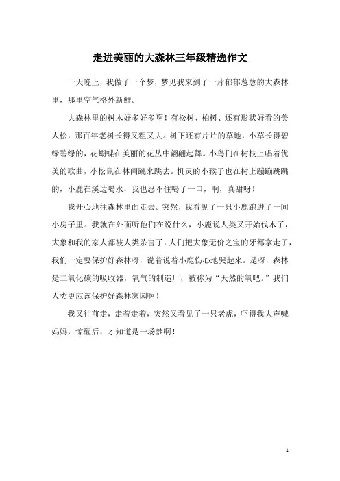 走进美丽的大森林三年级精选作文