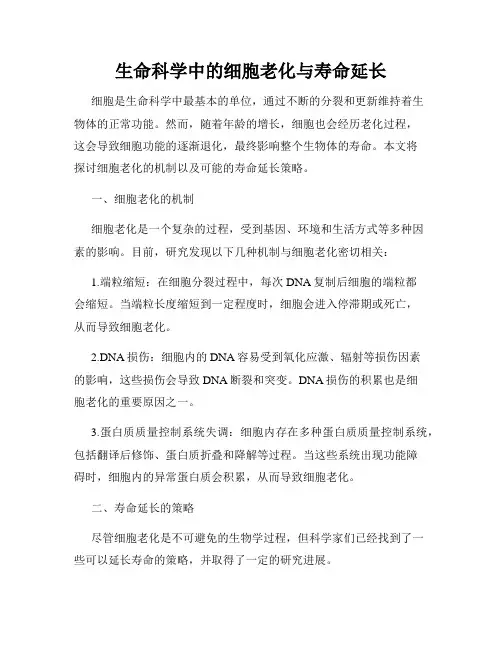 生命科学中的细胞老化与寿命延长