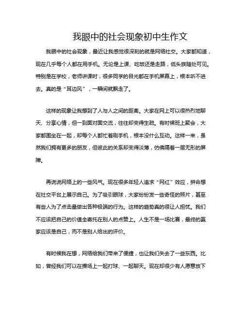 我眼中的社会现象初中生作文