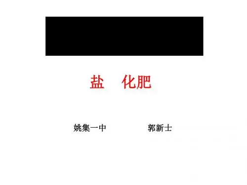 盐、化肥复习 PPT教学课件(4份打包) 人教版