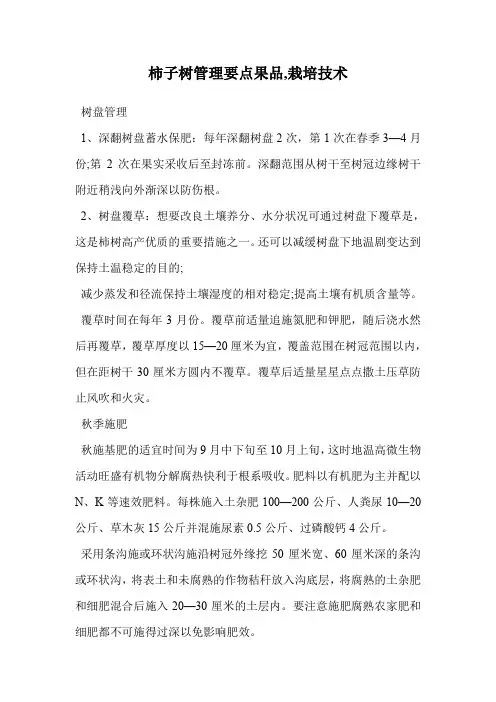 柿子树管理要点