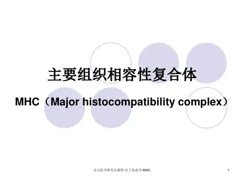 北大医学研究生课程-分子免疫学-MHCppt课件