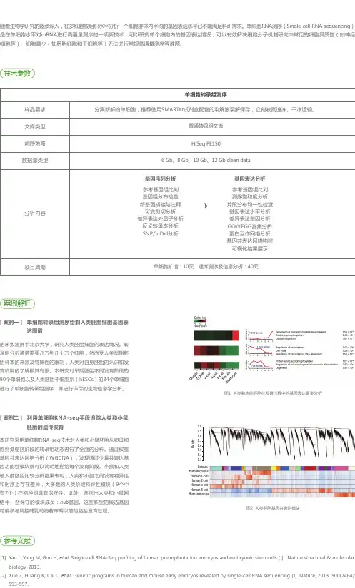 真核Single cell 转录组