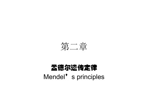 遗传学：第二章 孟德尔遗传定律