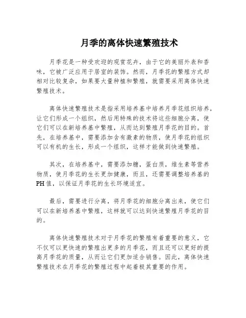 月季的离体快速繁殖技术