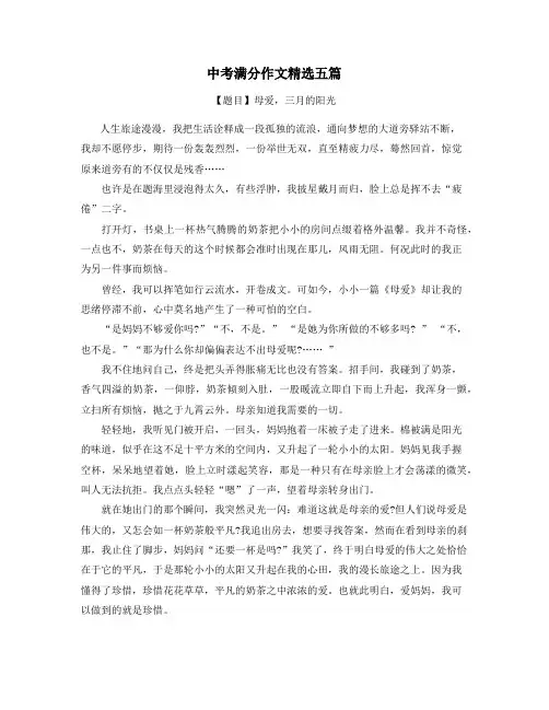 陕西中考满分作文精选5篇 (19)