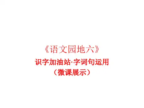 新人教版(部编)二年级语文下册《文  语文园地六  语文园地六：识字加油站+字词句运用》示范课课件_12