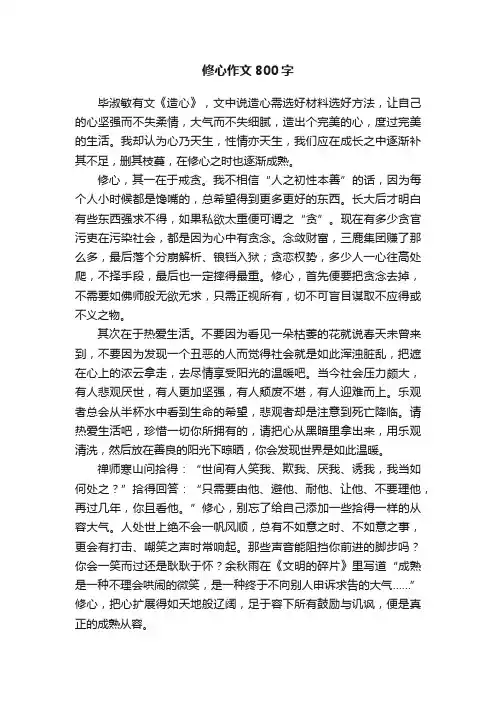 修心作文800字