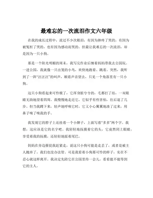 最难忘的一次流泪作文六年级