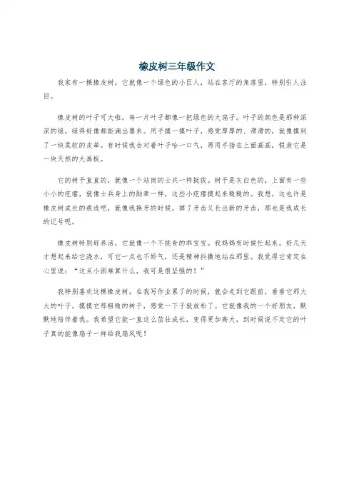 橡皮树三年级作文