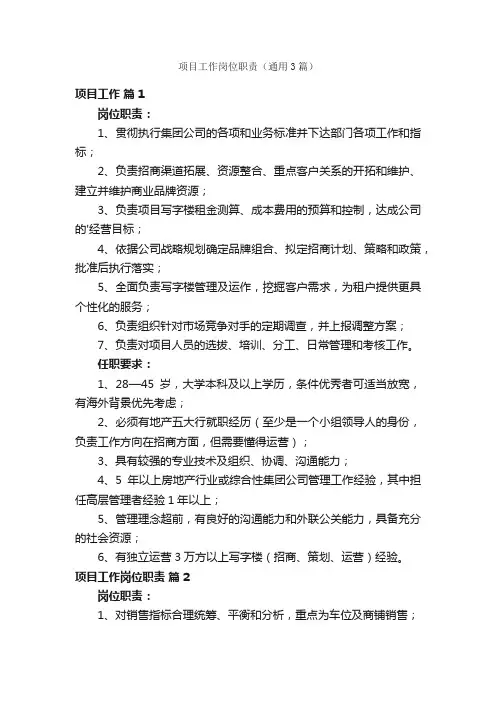 项目工作岗位职责（通用3篇）