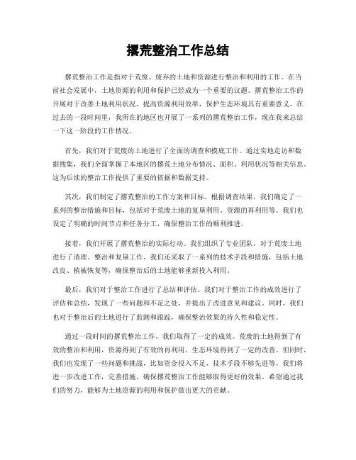 撂荒整治工作总结