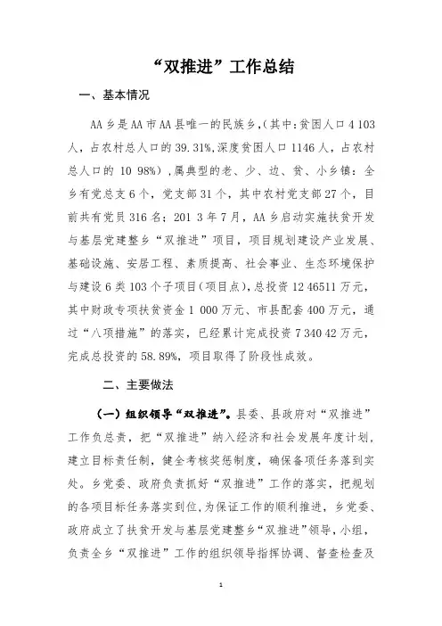“双推进”工作总结