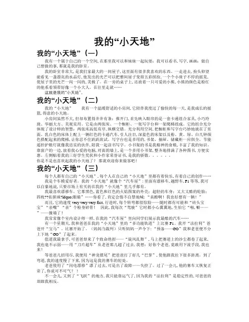 我的“小天地”作文共九篇