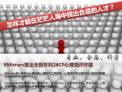 9MIRRORS测评云系统