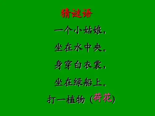 《荷花》PPT之一课件(人教版三年级语文下册课件)---张桂玲