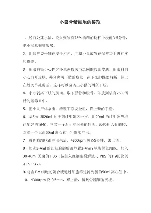 小鼠骨髓细胞提取及培养