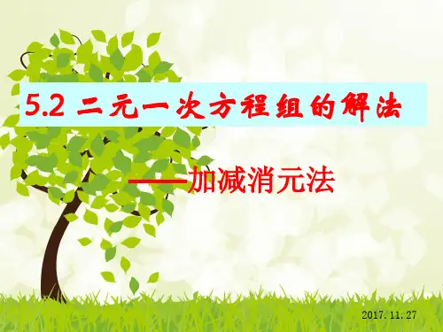 5.2-加减消元法解二元一次方程组