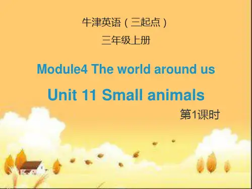三年级上册英语Module 4 Unit11 第1课时教学课件牛津上海版(三起)