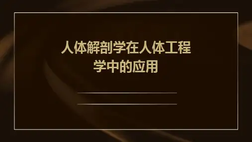人体解剖学在人体工程学中的应用