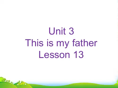 新人教精通版三年级英语下册 Unit 3 This is my father Lesson 13 2