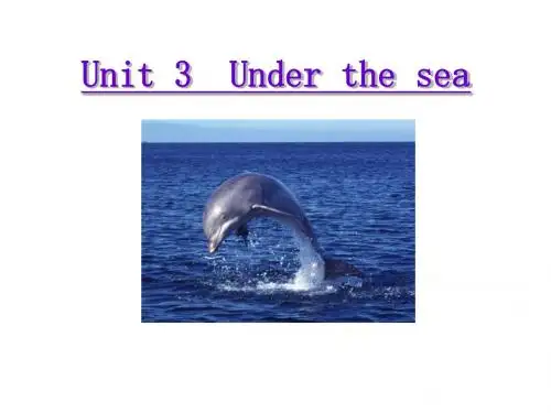 新人教选修七 Unit 3 Under the sea-Reading阅读[课件]