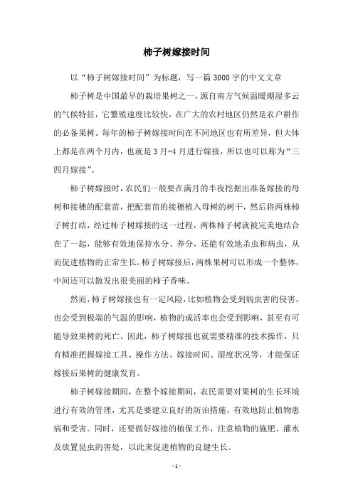 柿子树嫁接时间