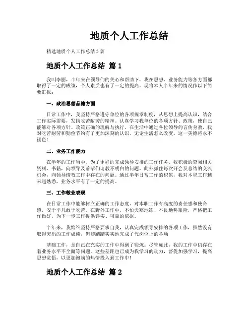 地质个人工作总结