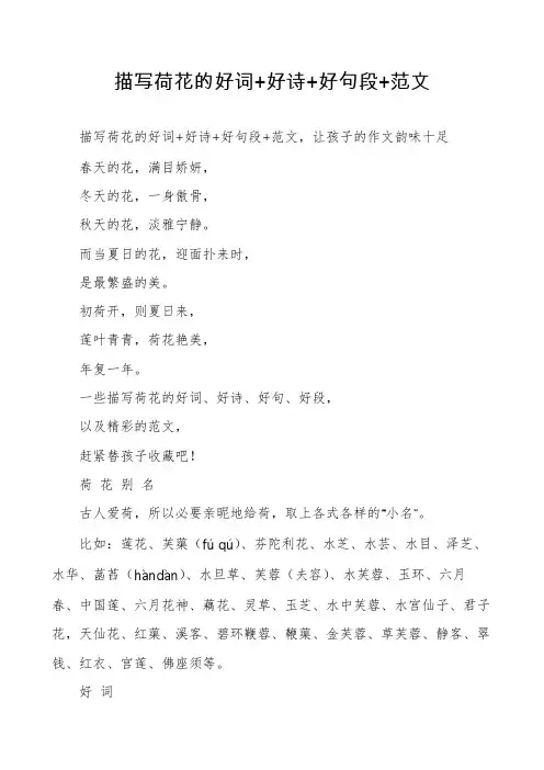 描写荷花的好词+好诗+好句段+范文