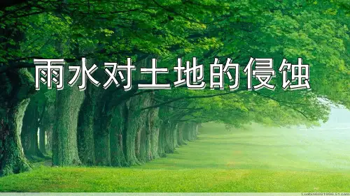 最新版本小学五年级上册科学课件 -3.5 雨水对土地的侵蚀｜教科版 (共20张PPT)