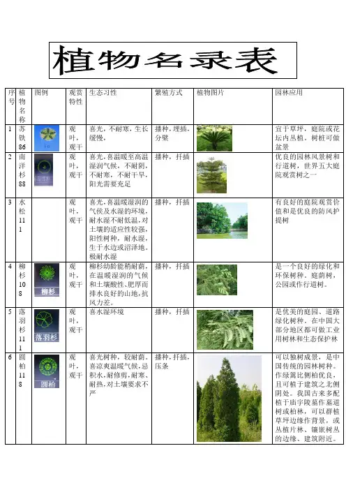 广东常用的100种植物