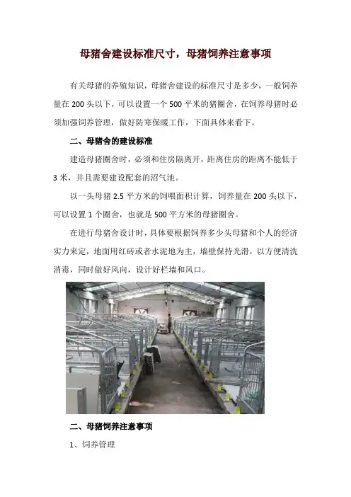母猪舍建设标准尺寸,母猪饲养注意事项