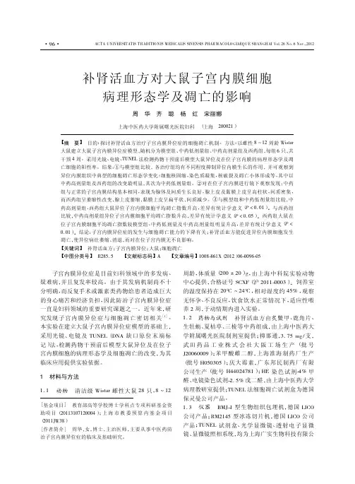补肾活血方对大鼠子宫内膜细胞病理形态学及凋亡的影响