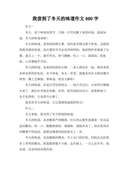 我尝到了冬天的味道作文600字