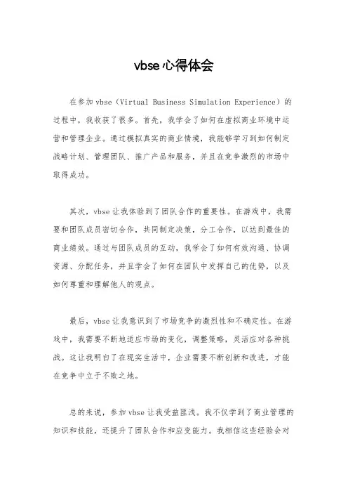 vbse心得体会