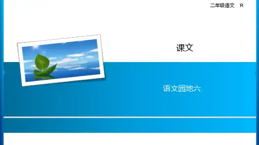 人教部编版二年级上册语文习题第六单元语文园地六