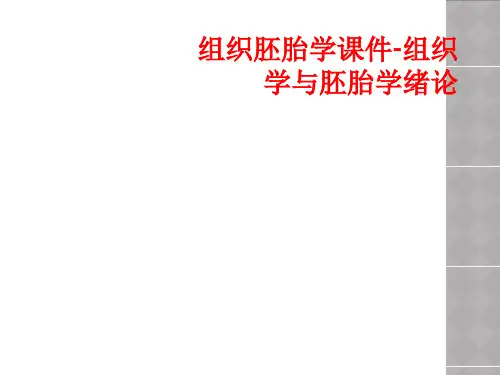 组织胚胎学课件-组织学与胚胎学绪论