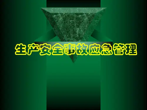 生产安全事故应急管理培训 PPT课件