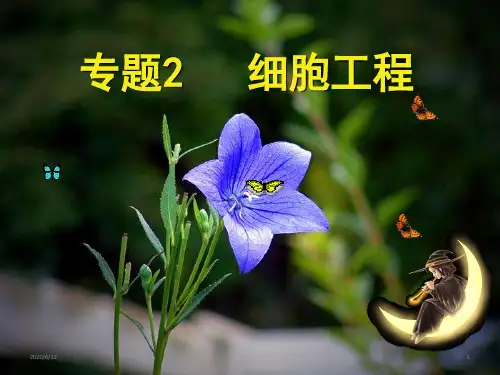人教版高中生物选修三课件：2.1.1植物细胞工程的基本技术(共24张PPT)