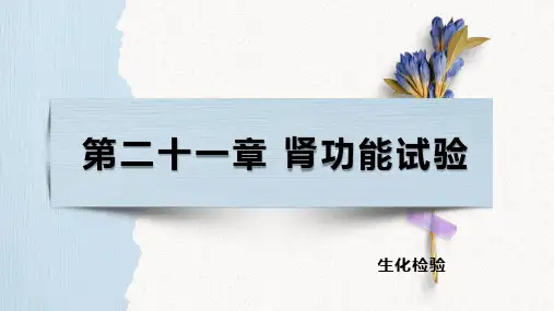 生化检验——肾功能概述