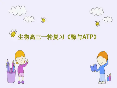生物高三一轮复习《酶与ATP》共119页